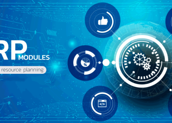 erp-software-solution-1-1110x550