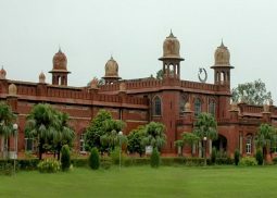 University of Agriculture Faisalabad