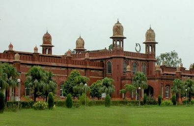 University of Agriculture Faisalabad