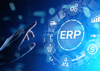ERP Governance