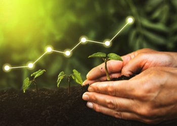 Concept of business growth, profit, development and success. Hand planting seedling growing step in garden with sunshine Concept of business growth, profit, development and success. Hand planting seedling growing step in garden with sunshine.