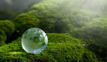 Environmental Monitoring and Testing (EMT)