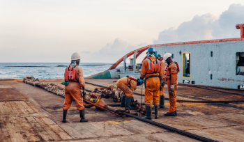 Flexible Riser Integrity Management System (FRIMS)