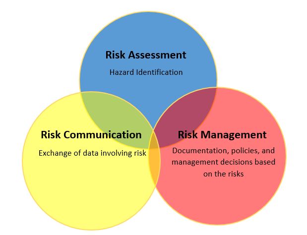 Direct Quantitative Occupational Health Risk Assessment