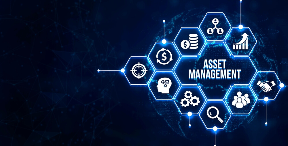 Asset Management Systems