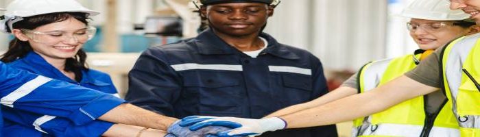 HSE Bundle (Advanced Accident Investigation & HSE Risk Assessment)